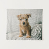 Niedliche Kleintiere | Norfolk Terrier Puppy Wandteppich (Vorderseite (Horizontal))