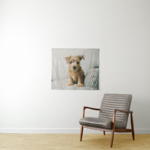 Niedliche Kleintiere Norfolk Terrier Puppy Wandteppich