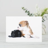 Niedliche Kleintiere | Old Tyme British Bulldog Dankeskarte (Stehend Vorderseite)