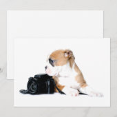 Niedliche Kleintiere | Old Tyme British Bulldog Dankeskarte (Vorne/Hinten)