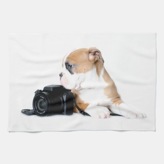 Niedliche Kleintiere | Old Tyme British Bulldog Geschirrtuch (Horizontal)