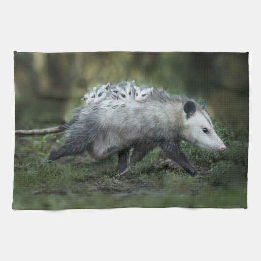 Niedliche Kleintiere | Opossum-Mama und Kinder Geschirrtuch (Horizontal)