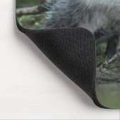 Niedliche Kleintiere | Opossum-Mama und Kinder Mousepad (Ecke)