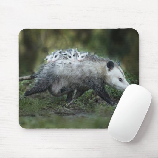 Niedliche Kleintiere | Opossum-Mama und Kinder Mousepad (Mit Mouse)