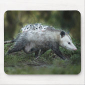 Niedliche Kleintiere | Opossum-Mama und Kinder Mousepad (Vorne)