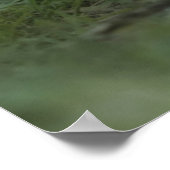 Niedliche Kleintiere | Opossum-Mama und Kinder Poster (Ecke)