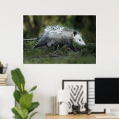 Niedliche Kleintiere | Opossum-Mama und Kinder Poster (Heimbüro)