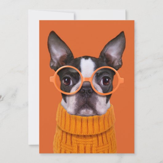 Niedliche Kleintiere | Orange Boston Terrier Dankeskarte (Vorderseite)
