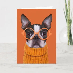 Niedliche Kleintiere   Orange Boston Terrier Karte