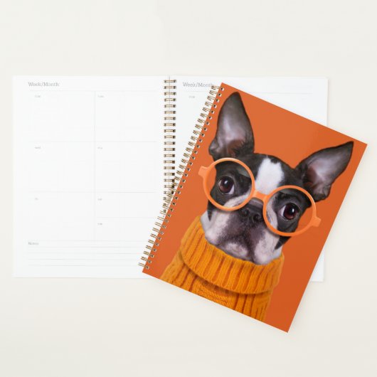Niedliche Kleintiere | Orange Boston Terrier Planer (Anzeige)