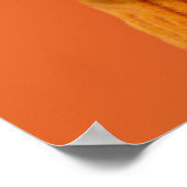 Niedliche Kleintiere | Orange Boston Terrier Poster (Ecke)