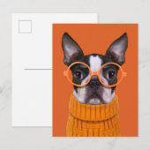 Niedliche Kleintiere | Orange Boston Terrier Postkarte (Vorne/Hinten)