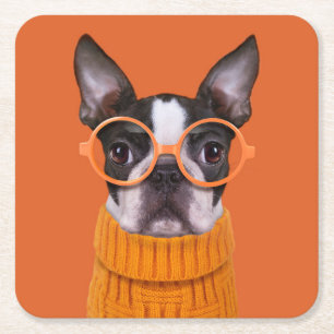 Niedliche Kleintiere   Orange Boston Terrier Rechteckiger Pappuntersetzer