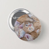 Niedliche Kleintiere | Orange Kitten Pile Button (Vorne & Hinten)