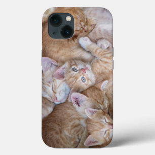 Niedliche Kleintiere   Orange Kitten Pile Case-Mate iPhone Hülle