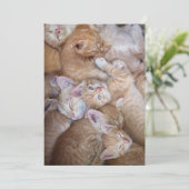 Niedliche Kleintiere | Orange Kitten Pile Dankeskarte (Stehend Vorderseite)