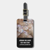 Niedliche Kleintiere | Orange Kitten Pile Gepäckanhänger (Vorderseite vertikal)