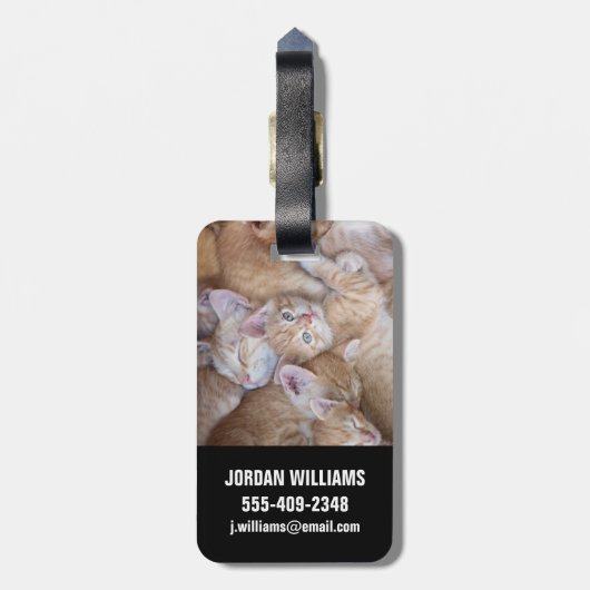 Niedliche Kleintiere | Orange Kitten Pile Gepäckanhänger (Rückseite vertikal)