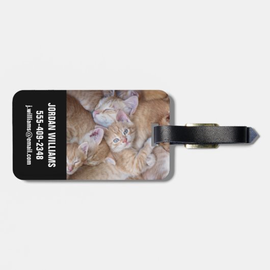 Niedliche Kleintiere | Orange Kitten Pile Gepäckanhänger (Rückseite horizontal)