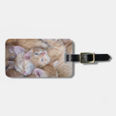 Niedliche Kleintiere | Orange Kitten Pile Gepäckanhänger (Vorderseite horizontal)