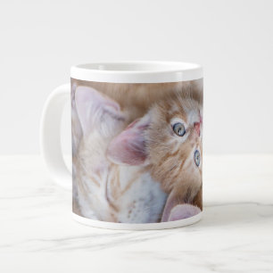 Niedliche Kleintiere Orange Kitten Pile Jumbo-Tasse