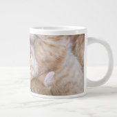 Niedliche Kleintiere | Orange Kitten Pile Jumbo-Tasse (Rechts)
