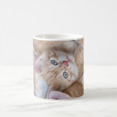 Niedliche Kleintiere | Orange Kitten Pile Kaffeetasse (Mittel)
