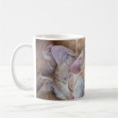 Niedliche Kleintiere | Orange Kitten Pile Kaffeetasse (Links)
