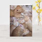 Niedliche Kleintiere | Orange Kitten Pile Karte (Gelbe Blume)