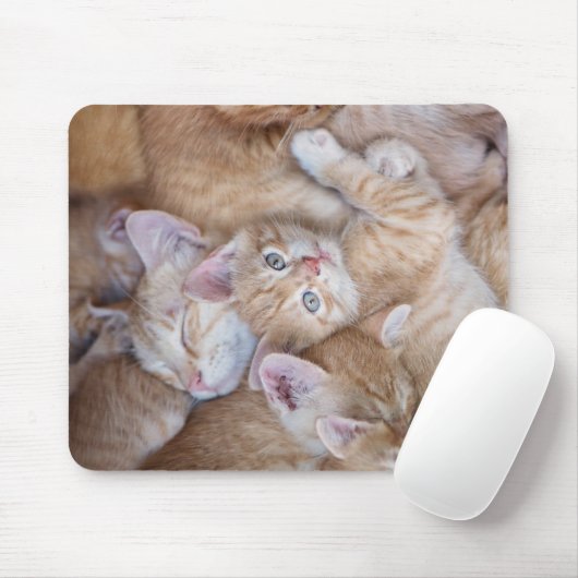 Niedliche Kleintiere | Orange Kitten Pile Mousepad (Mit Mouse)