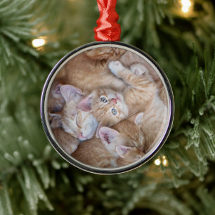 Niedliche Kleintiere Orange Kitten Pile Ornament Aus Metall