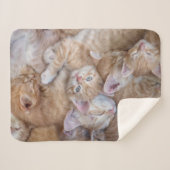 Niedliche Kleintiere | Orange Kitten Pile Sherpadecke (Vorderseite (Horizontal))