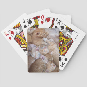 Niedliche Kleintiere   Orange Kitten Pile Spielkarten