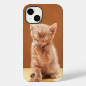 Niedliche Kleintiere | Orange Tabby Kitten Case-Mate iPhone Hülle (Rückseite)