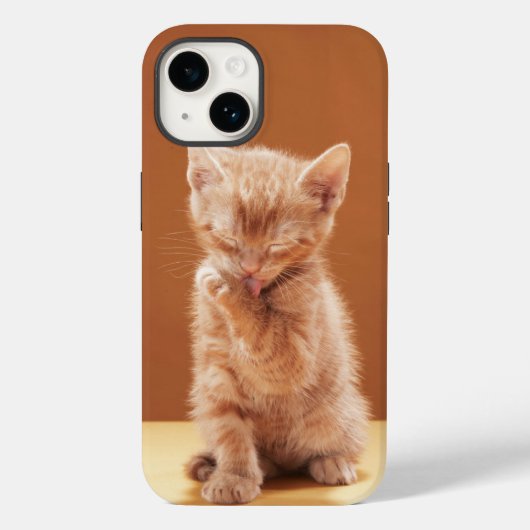 Niedliche Kleintiere | Orange Tabby Kitten Case-Mate iPhone Hülle (Rückseite)