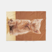 Niedliche Kleintiere | Orange Tabby Kitten Fleecedecke (Vorderseite (Horizontal))