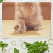 Niedliche Kleintiere | Orange Tabby Kitten Geschirrtuch (Gefaltet)