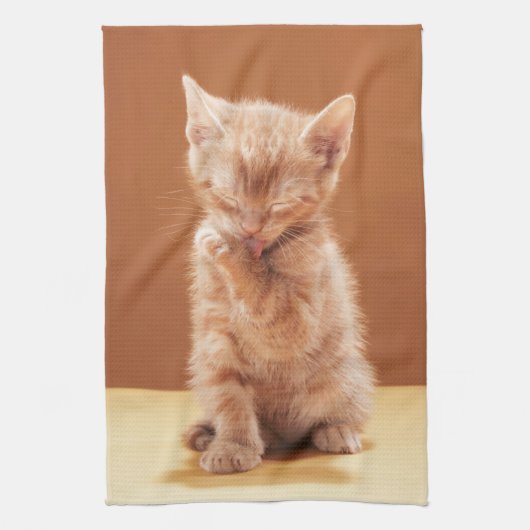 Niedliche Kleintiere | Orange Tabby Kitten Geschirrtuch (Vertikal)