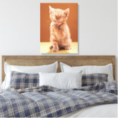 Niedliche Kleintiere | Orange Tabby Kitten Leinwanddruck (Insitu (Schlafzimmer))