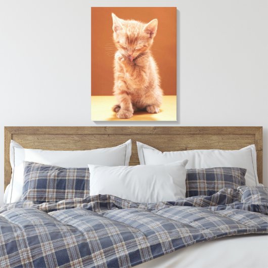 Niedliche Kleintiere | Orange Tabby Kitten Leinwanddruck (Insitu (Schlafzimmer))