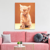 Niedliche Kleintiere | Orange Tabby Kitten Leinwanddruck (Insitu (Wohnzimmer))
