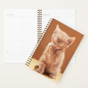 Niedliche Kleintiere Orange Tabby Kitten Planer