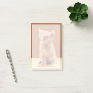 Niedliche Kleintiere Orange Tabby Kitten Post-it Klebezettel