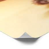 Niedliche Kleintiere | Orange Tabby Kitten Poster (Ecke)