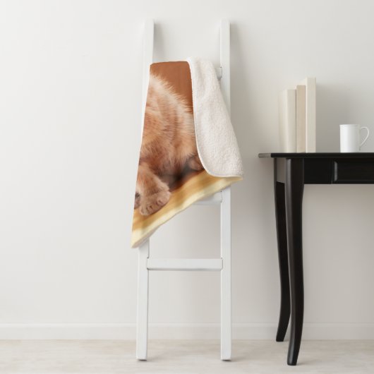 Niedliche Kleintiere | Orange Tabby Kitten Sherpadecke (Beispiel)