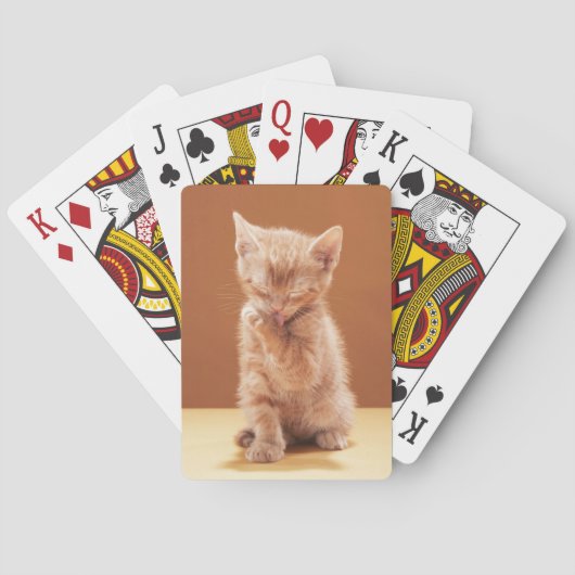 Niedliche Kleintiere | Orange Tabby Kitten Spielkarten (Rückseite)