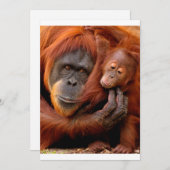 Niedliche Kleintiere | Orangutan Mama & Baby Dankeskarte (Vorne/Hinten)