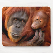 Niedliche Kleintiere | Orangutan Mama & Baby Mousepad (Vorne)