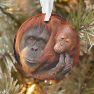 Niedliche Kleintiere Orangutan Mama & Baby Ornament