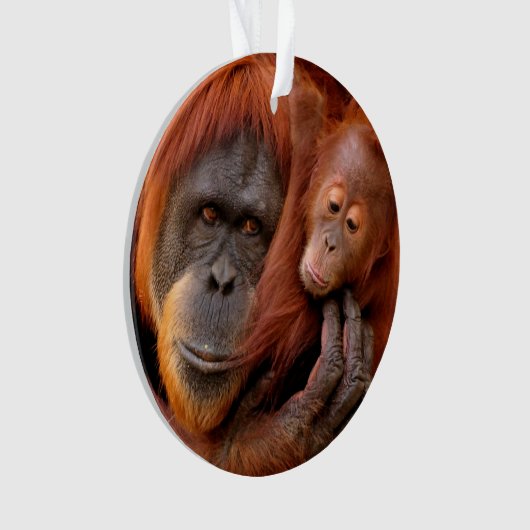 Niedliche Kleintiere | Orangutan Mama & Baby Ornament (Vorderseite)